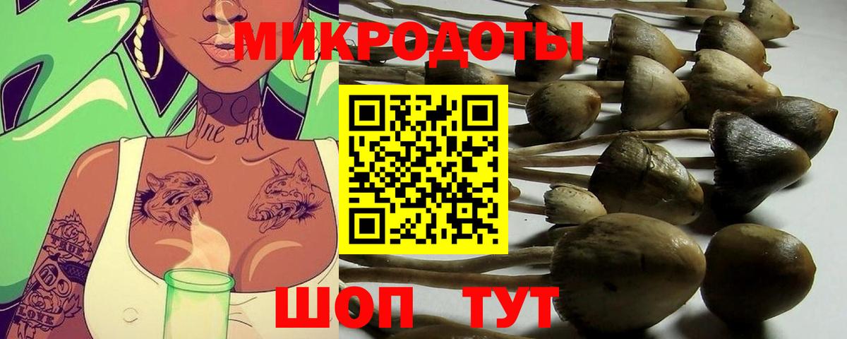 Корсаков  Псилоцибиновые грибы прущие грибы  Вход с VPN 